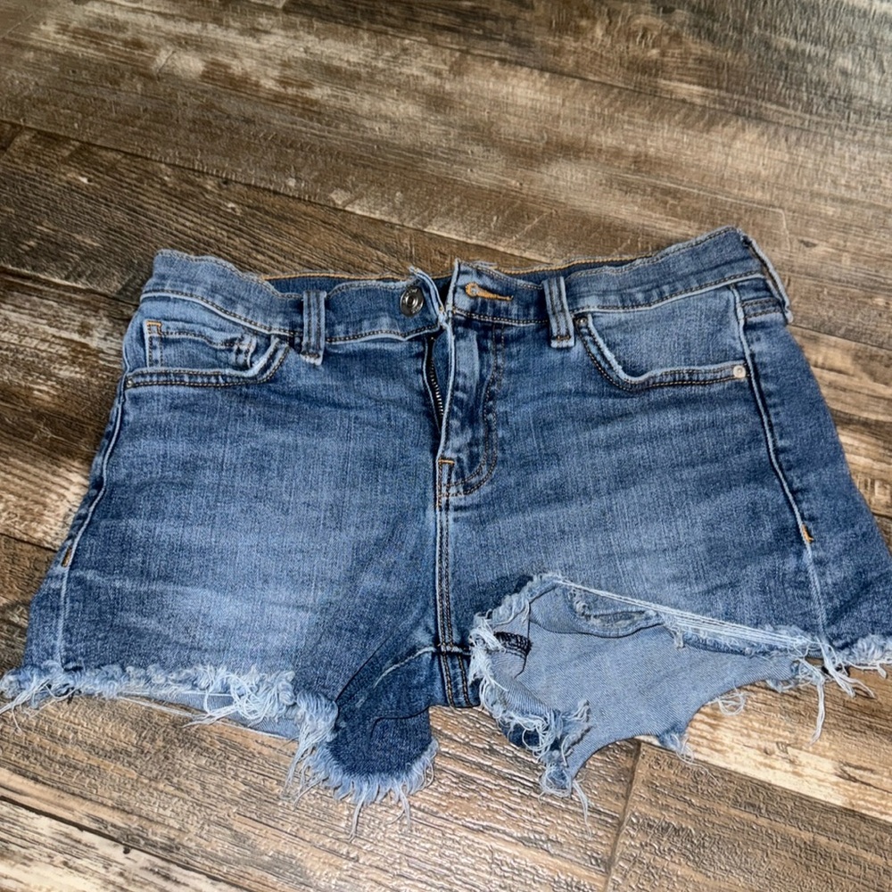 Hudson jean shorts